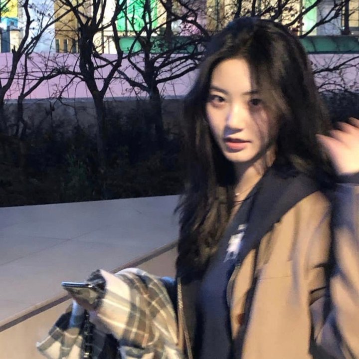狗纹龙爸爸