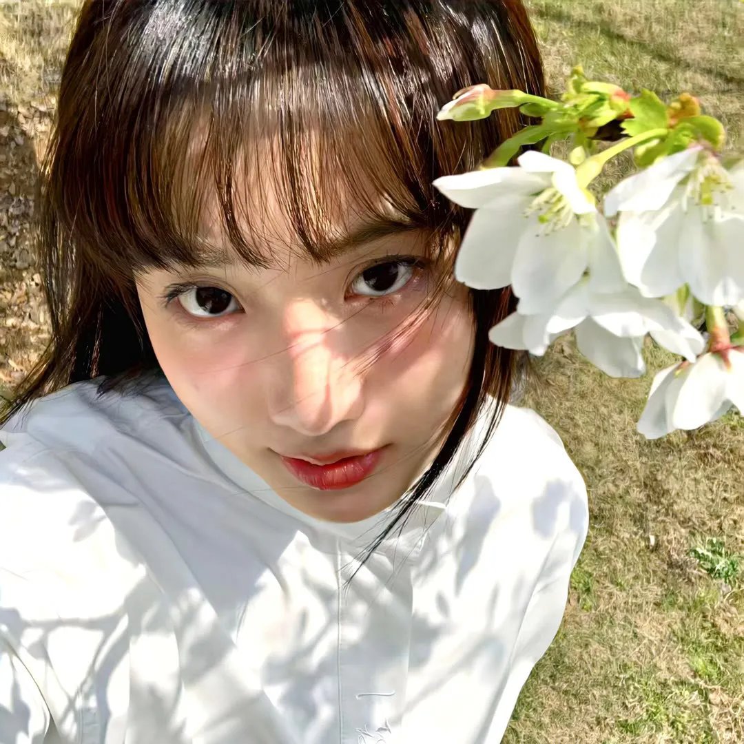 朱迪之夏